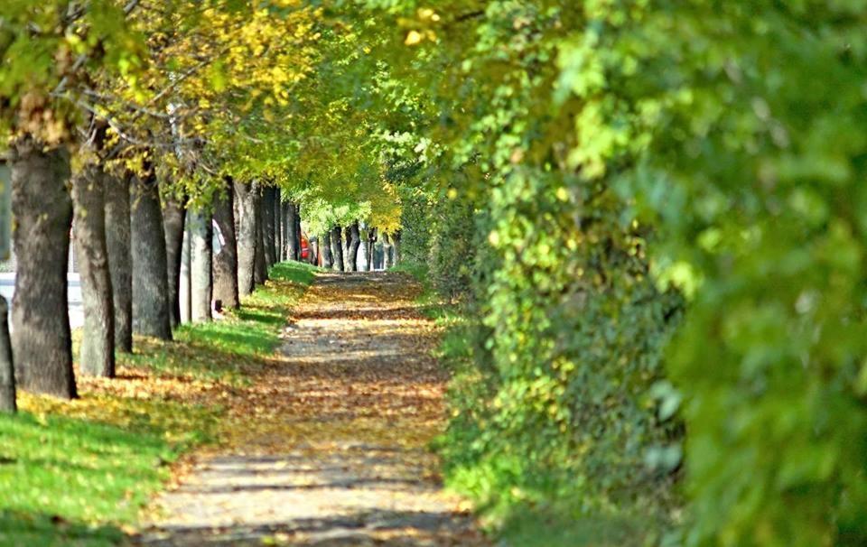 Бутиков Хотел History Haskovo Esterno foto